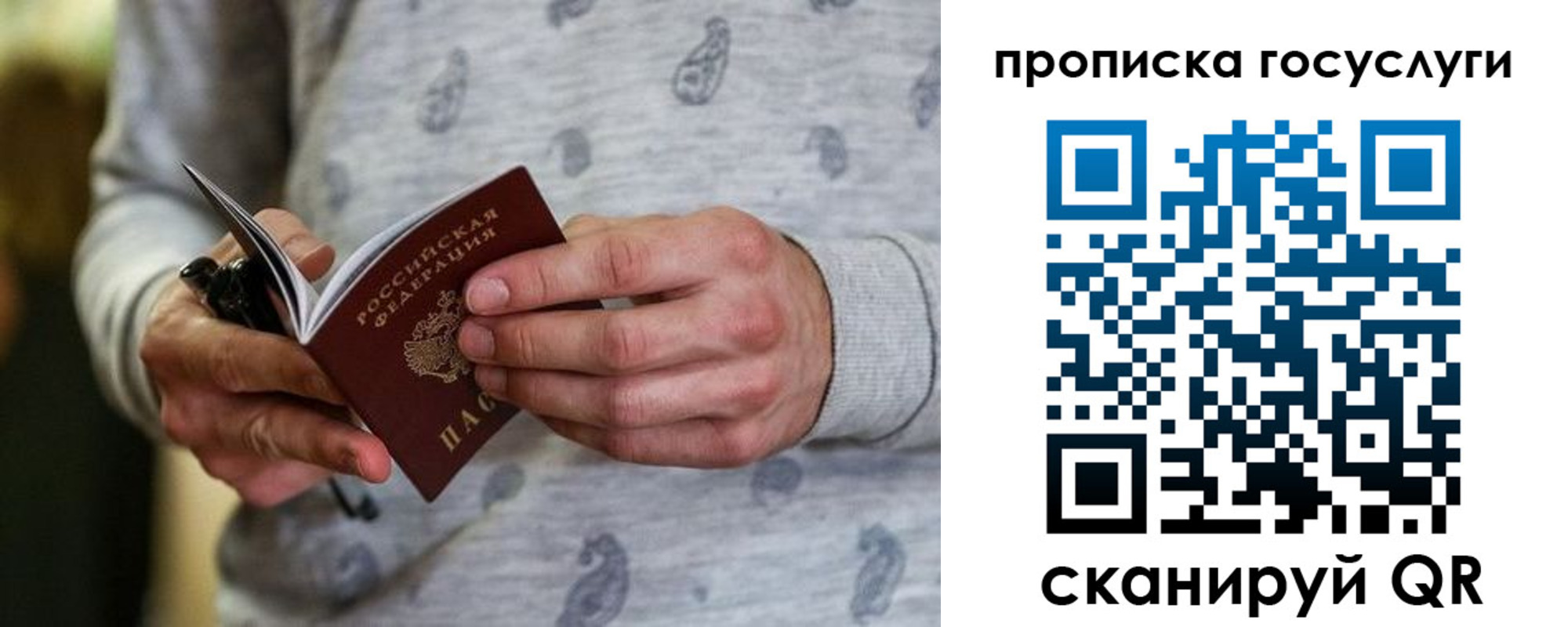 прописка в Фролово